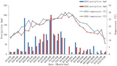 Yield and Quality in Main and Ratoon Crops of Grain Sorghum Under Different Nitrogen Rates and Planting Densities